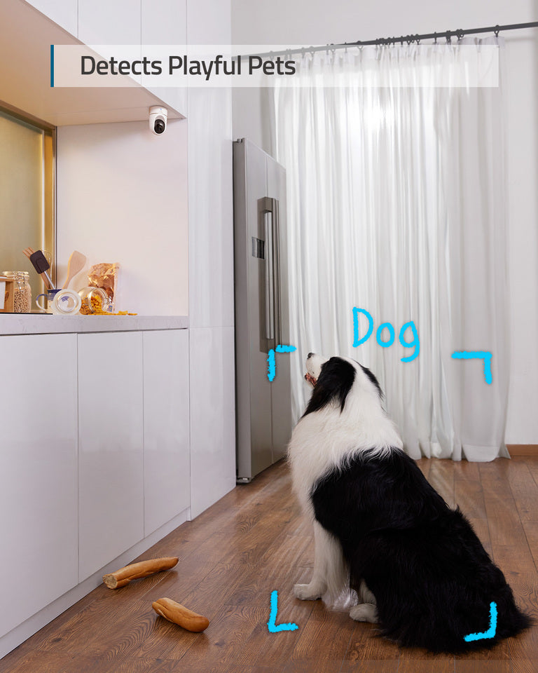 eufy Indoor Cam E220 2K Pan & Tilt Camera with AI Tracking – eufy security supplied in Muscat, Oman